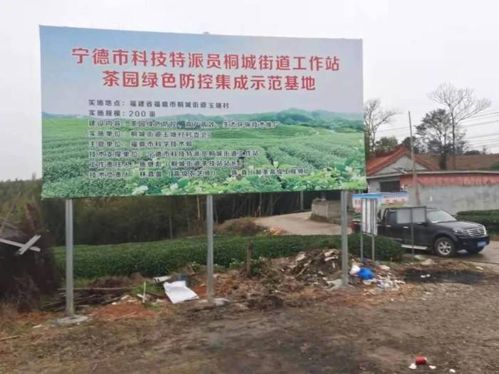 有关于包江苏深入白琳镇调研福鼎白茶大数据溯源工作的最新消息(2)