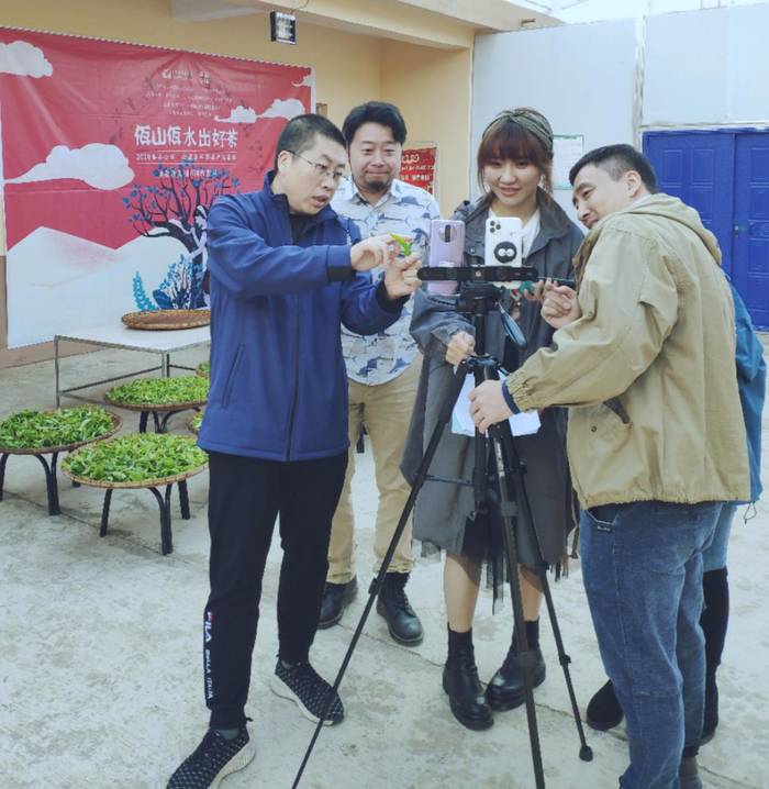 有关于佤山佤水出好茶，原产地探访直播助力西盟茶产业发展 的新闻(1)