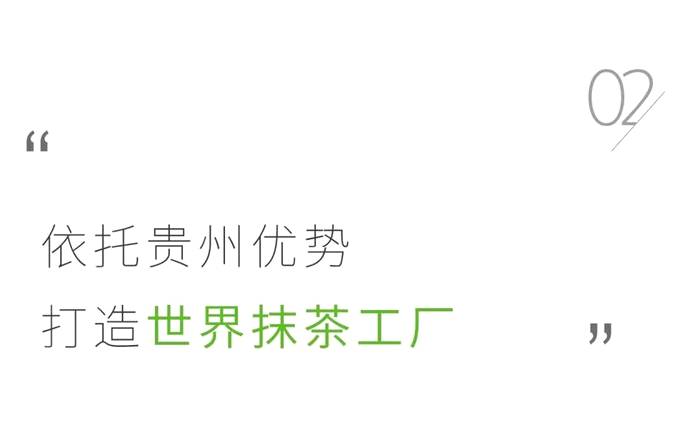 关于被央视新闻点赞的贵州抹茶,把中国抹茶带给世界的热门资讯(6)