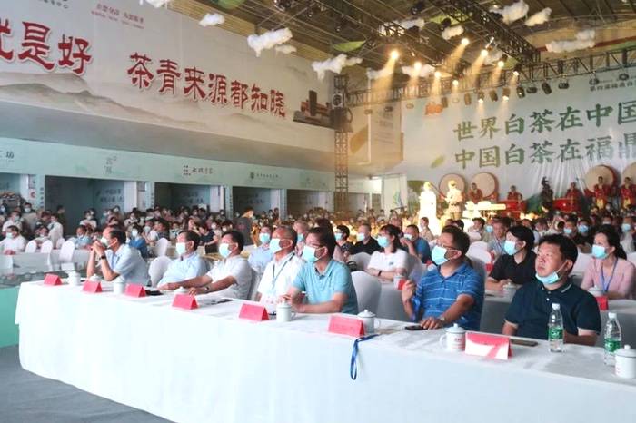 有关于中国白茶特色小镇的产业振兴路：质量立茶 绿色兴茶 品牌强茶的最新资讯(6)