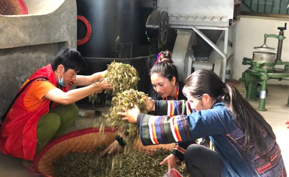 关于上海松江区援建茶叶初制所 让暖和村民的心里很“暖和”的消息(4)