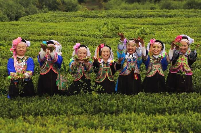 关于茶叶龙头企业的责任与担当——看“骏眉中国”如何助力脱贫攻坚与乡村振兴的热门信息(6)