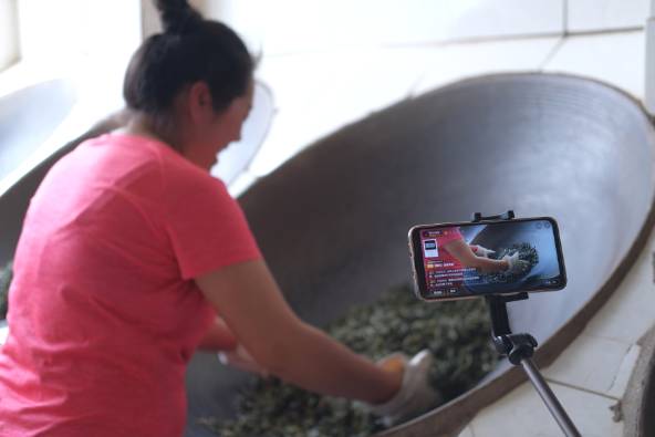 有关于普洱困鹿山：茶叶直播的新业态，为茶业发展注入了新的活力的最新信息(3)