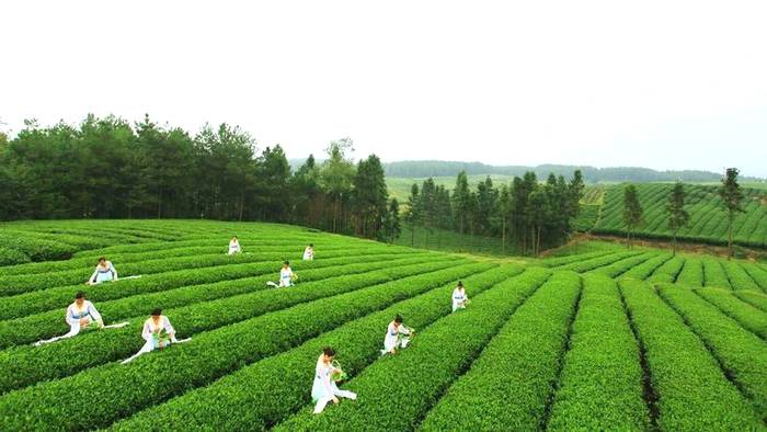 有关于凭啥拿下多项全省第一?黔北小县是这样实现“逆袭”的的最新消息