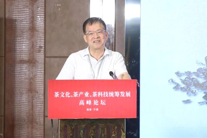 关于四大业内顶级专家,首次聚首宁德话“三茶”的信息(4)