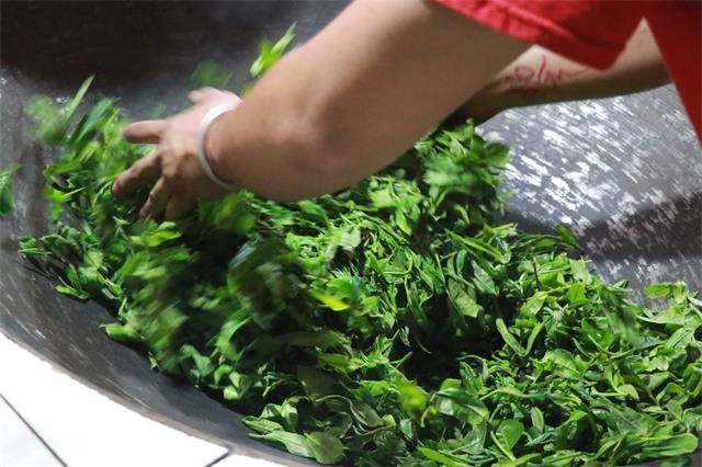 关于200万吨库存茶根本喝不完!谁能引领中国茶叶第三次产业革命?的消息(8)