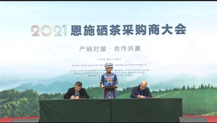 关于湖北：2021恩施硒茶采购商大会在恩施市硒茶小镇举行的热门新闻(10)