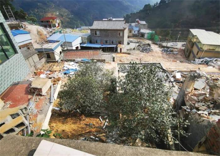 有关于“西湖龙井加强规范”“云茶绿色有机认证”“茶产业数字发展之路”的消息(4)