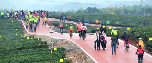 关于擦亮“茶叶之乡”名片，咸宁茶产业探索突围之路！的热门消息(2)