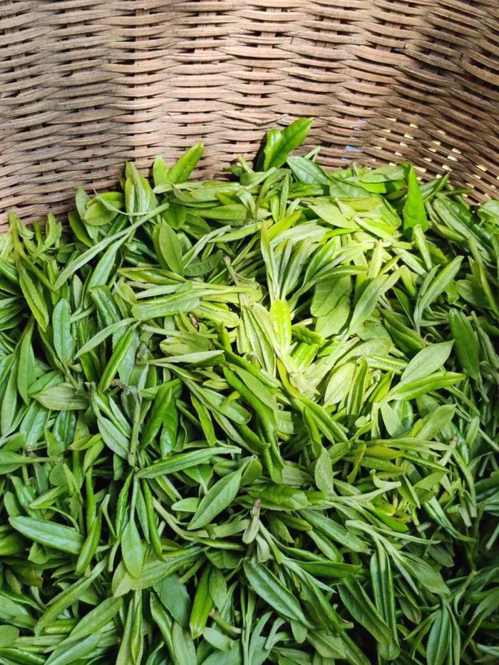 关于华春莹点赞杭州！外国朋友也被惊艳到了：“味道好极了……”的热门消息(11)