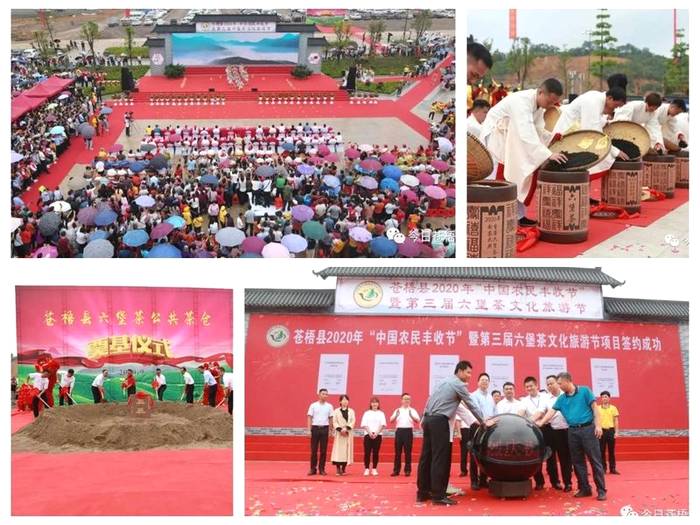 关于2020下半年六堡茶产业持续发力，这些热点你都关注了吗？的热门资讯(4)