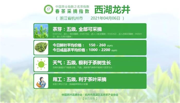 关于太平猴魁采摘其到来！洞庭山碧螺春、湄潭翠芽、黄山毛峰进入五级采摘期的新闻(4)