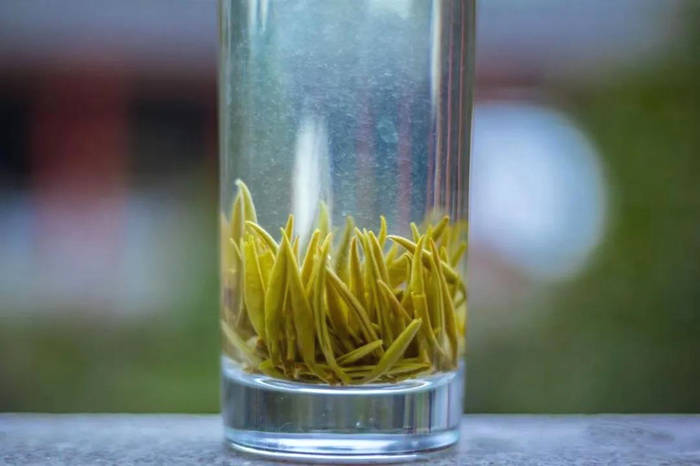 有关于湖南又添19项国家级非遗项目 黄茶制作技艺上榜的信息(6)