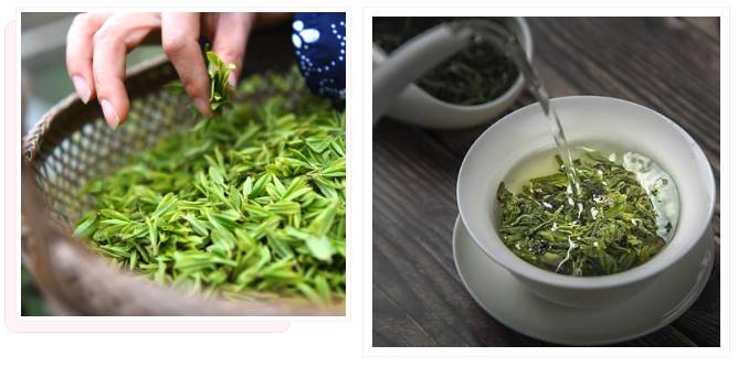 有关于恩施春茶价格攀高，鲜叶每斤卖到100元！的新闻(2)