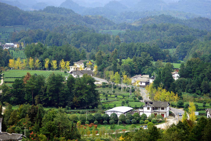 关于湄潭：以路为媒、以路助茶、以茶促旅、以旅兴茶的消息(7)