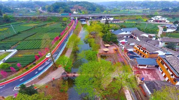 有关于蒙山茶传统制作技艺入选第五批国家级非物质文化遗产代表性项目名录推荐项目名单的热门资讯(24)