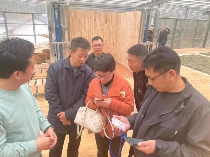 有关于包江苏深入白琳镇调研福鼎白茶大数据溯源工作的最新消息(1)