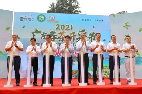 有关于广东春茶上新产销两旺,茶农们迎来“富口袋”的热门消息