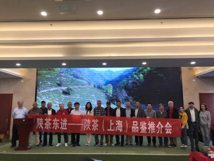 有关于陕西省茶叶流通协会2020年度工作亮点大盘点的热门信息(3)