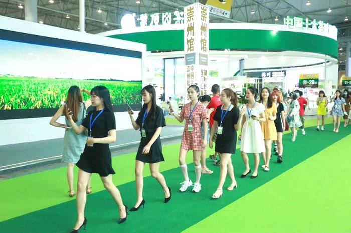 有关于一周速读丨福鼎茶企“备战”IPO、春茶价格上涨、品牌春茶营销怎么玩？的热门新闻(7)