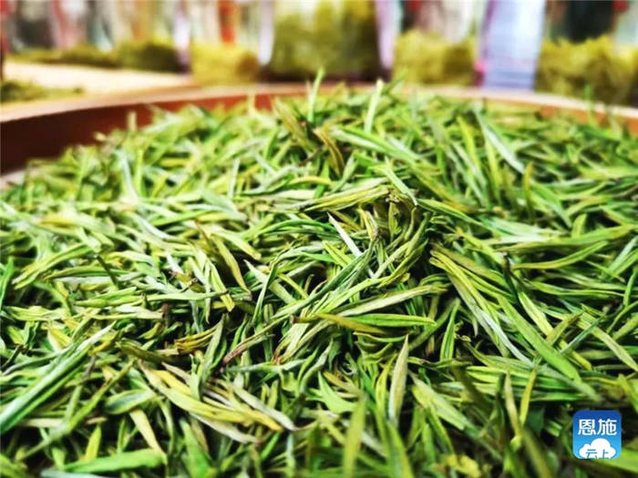 关于湖北：2021恩施硒茶采购商大会在恩施市硒茶小镇举行的热门新闻(3)