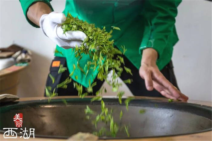 关于“新科炒茶王”花落外桐坞！00后炒茶“后浪”们来了的最新资讯(6)