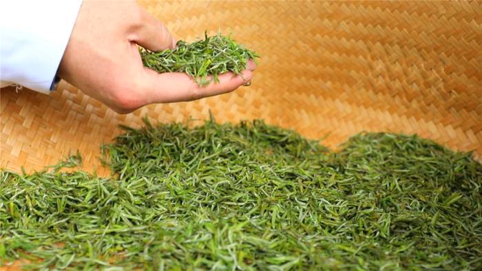 关于开化龙顶香飘四海！县长毛献明带你游茶园的消息(3)