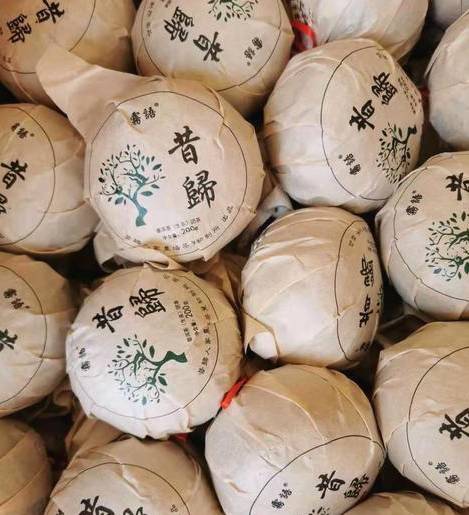 有关于冰岛古树春茶暂未大面积开采，毛茶价格约37000-38000元/公斤的资讯(5)