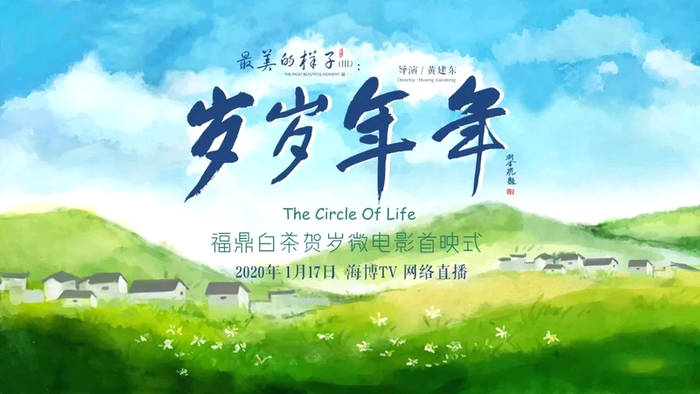 关于一样的路，不一样的风景——回首2020的福鼎白茶的信息