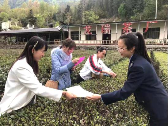 关于把农民的“茶篮子”变成鼓鼓的“钱袋子”的热门新闻