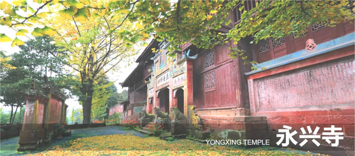 有关于雅安名山：创建天府旅游名县 一片茶叶富裕一方百姓的最新信息(8)