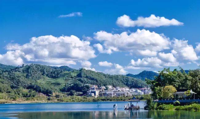 有关于普洱：唯一以茶命名的城市，竟还是咖啡之都的热门资讯(3)