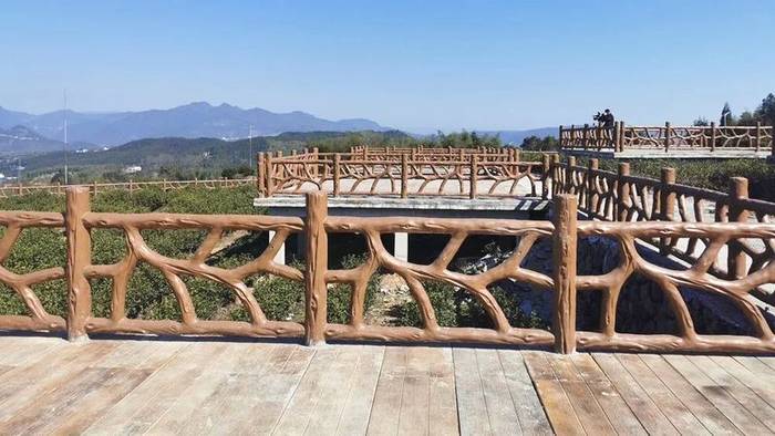 有关于泰顺：做大做优茶文化公园 提升市民幸福感的最新信息(5)