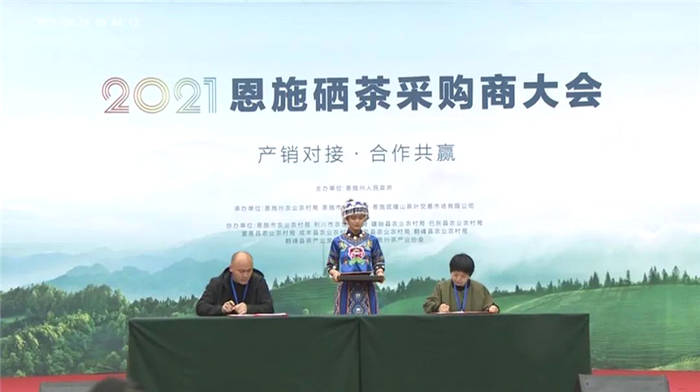 关于湖北：2021恩施硒茶采购商大会在恩施市硒茶小镇举行的热门新闻(12)