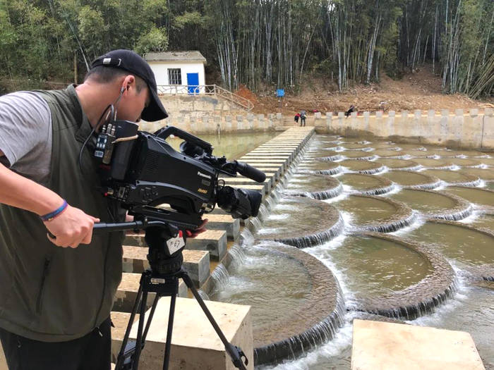 有关于中央电视台财经频道《生财有道》栏目组走进苍梧县六堡镇取景拍摄的热门消息(6)