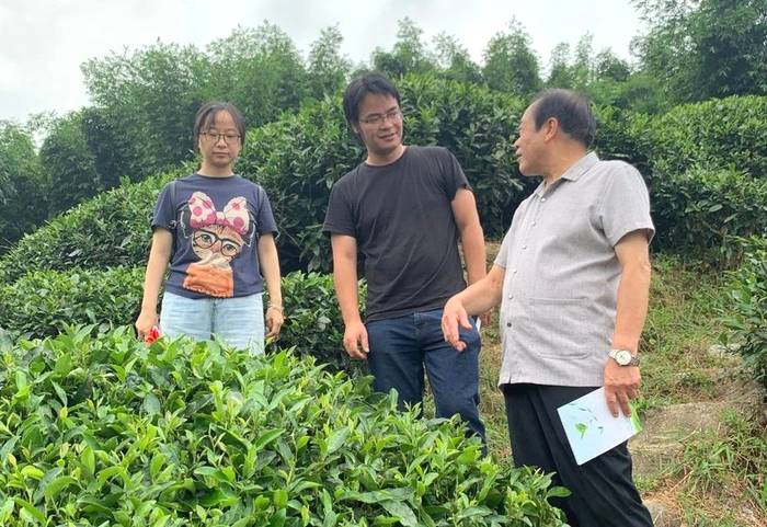 有关于福建省现代茶业产业技术体系福鼎综合试验站开展调研指导工作的资讯(4)