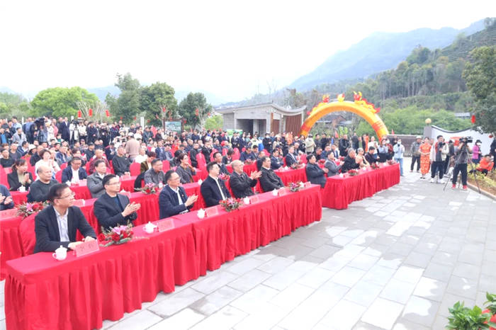 关于“坦洋工夫”春茶正当时，科技力量创良好开局的热门资讯(1)