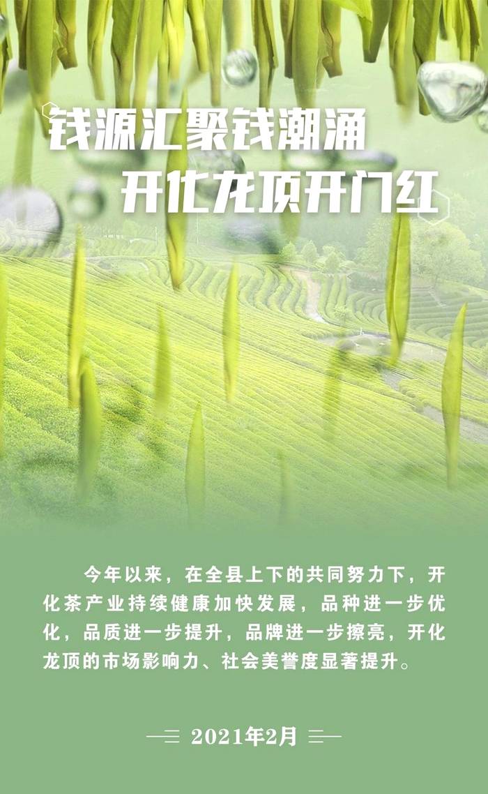 有关于钱源汇聚钱潮涌，开化龙顶开门红，2020开化茶产业十件事的新闻