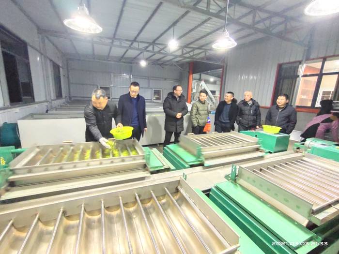 有关于桐城市茶叶发展中心、茶业协会积极指导春茶生产的热门新闻(2)