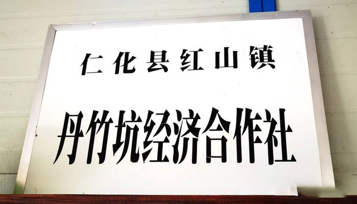 关于东莞茶协考察粤北茶区 振兴“粤茶”要唱响东莞声音的最新消息(2)