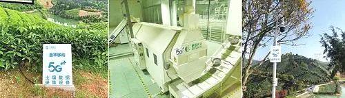 有关于制茶大师数万元一斤的手工有机茶也可量产 5G﹢智慧茶园究竟有什么秘密的热门新闻(1)