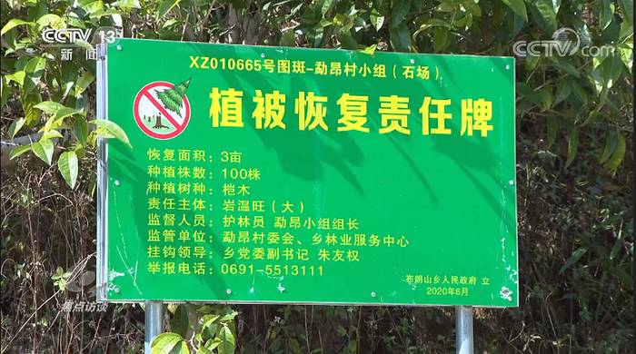 关于西双版纳大规模毁林种茶！国家启动专项打击！这些人被罚1500多万！的热门消息(7)