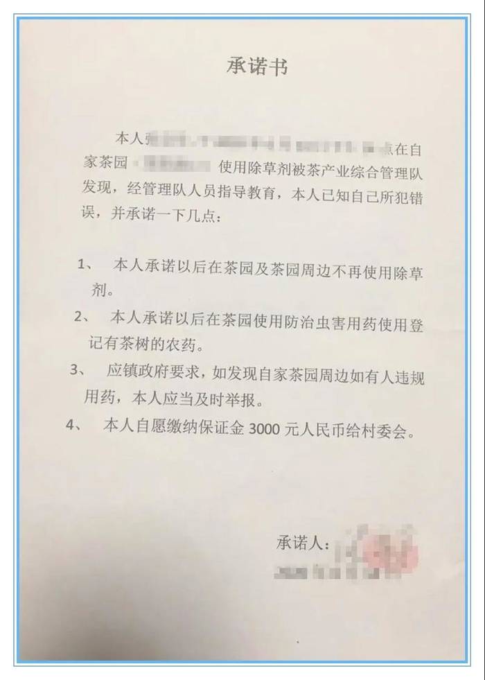 有关于管阳镇重拳出击：铲除违规用药茶园，维护一杯放心安全茶的热门资讯(2)