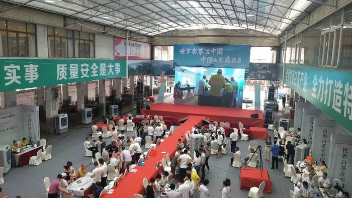 关于一样的路，不一样的风景——回首2020的福鼎白茶的信息(10)