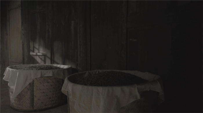 有关于福鼎白茶热度超过西湖龙井?白茶“存时代”即将开启,你准备好了吗?的最新信息(4)