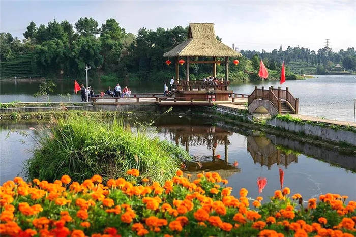 关于雅安名山：建设国家茶叶公园城市，展望“十四五”，我们这样做的消息(4)