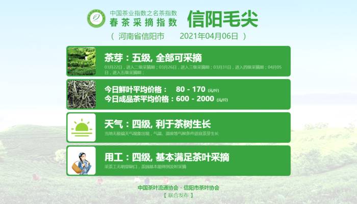 关于太平猴魁采摘其到来！洞庭山碧螺春、湄潭翠芽、黄山毛峰进入五级采摘期的新闻(6)