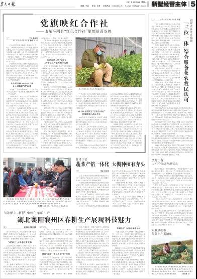 有关于读报纸，知黔茶 看今春贵州茶产业致富之路的热门新闻(2)