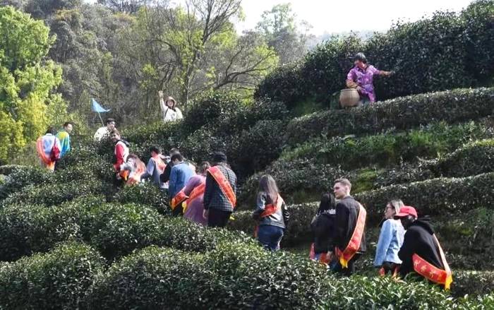 关于“一带一路”留学生西湖龙井研学班走进狮牌的热门资讯(3)