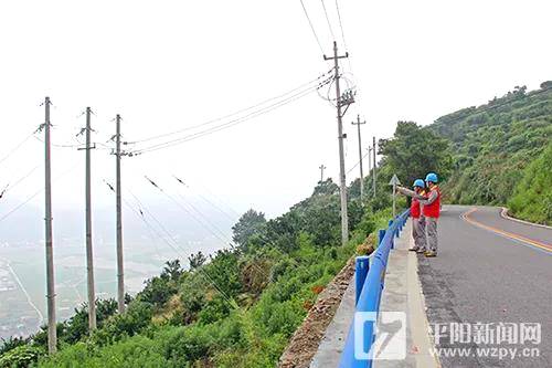 有关于国网平阳县：护航“全电制茶” 为守护绿水青山贡献力量的信息(2)